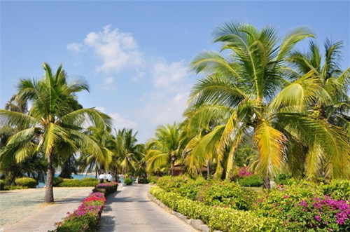 冷酷鲜生捞汁小海鲜