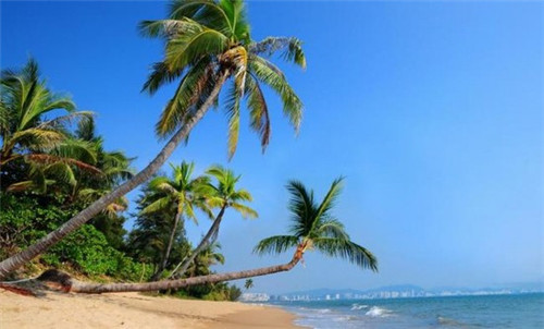 迷你小冰箱加盟投资开店哪些项目还能做