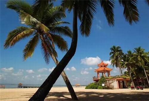 华航唯实培训加盟费多少，华航唯实机器人科技有限公司怎么样