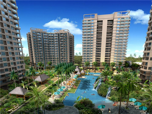 花鸟鱼店创业分享怎么写