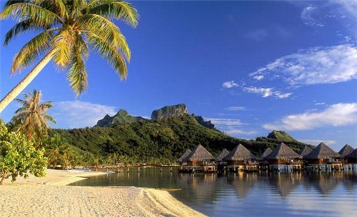 重返原始在线观看（重返原始世界）