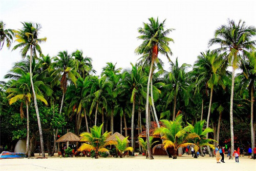 周末装修可以告业主吗（周末装修可以起诉吗）