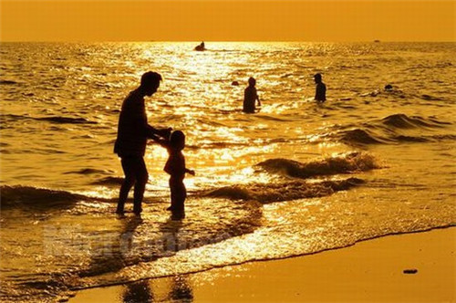 茶益爽植物饮料（禆益茶功效）