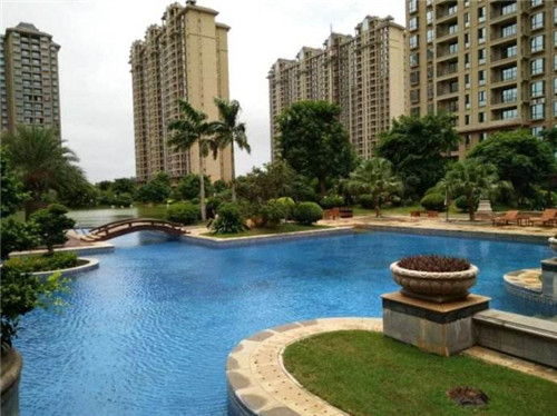 西葫芦素炒做法（素炒西葫芦的营养价值）