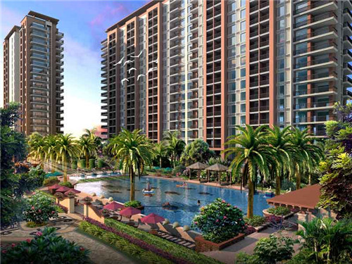 鸡翅尖炒酱油怎么炒（酱鸡翅尖图片）