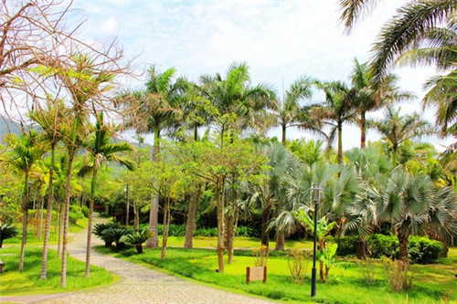 2026乌龙茶品牌加盟哪些比较好，乌龙茶厂家排名